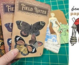 field note booklets